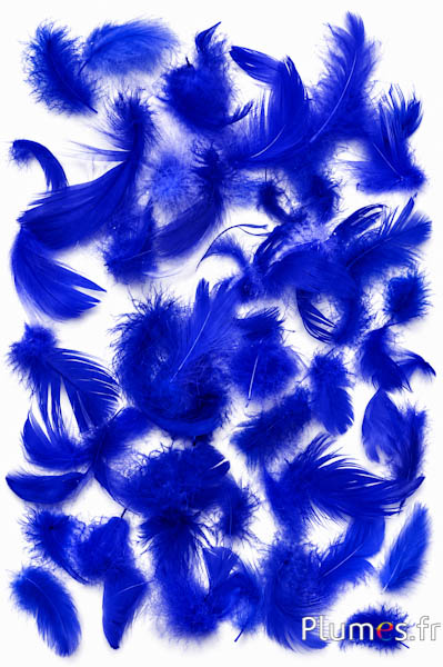 Gans - 4-6 cm - blauw